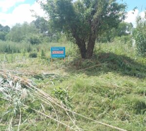 LOTES Sobre Av. Ramírez!! – A mts de JB Justo